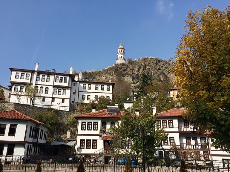 Bursa